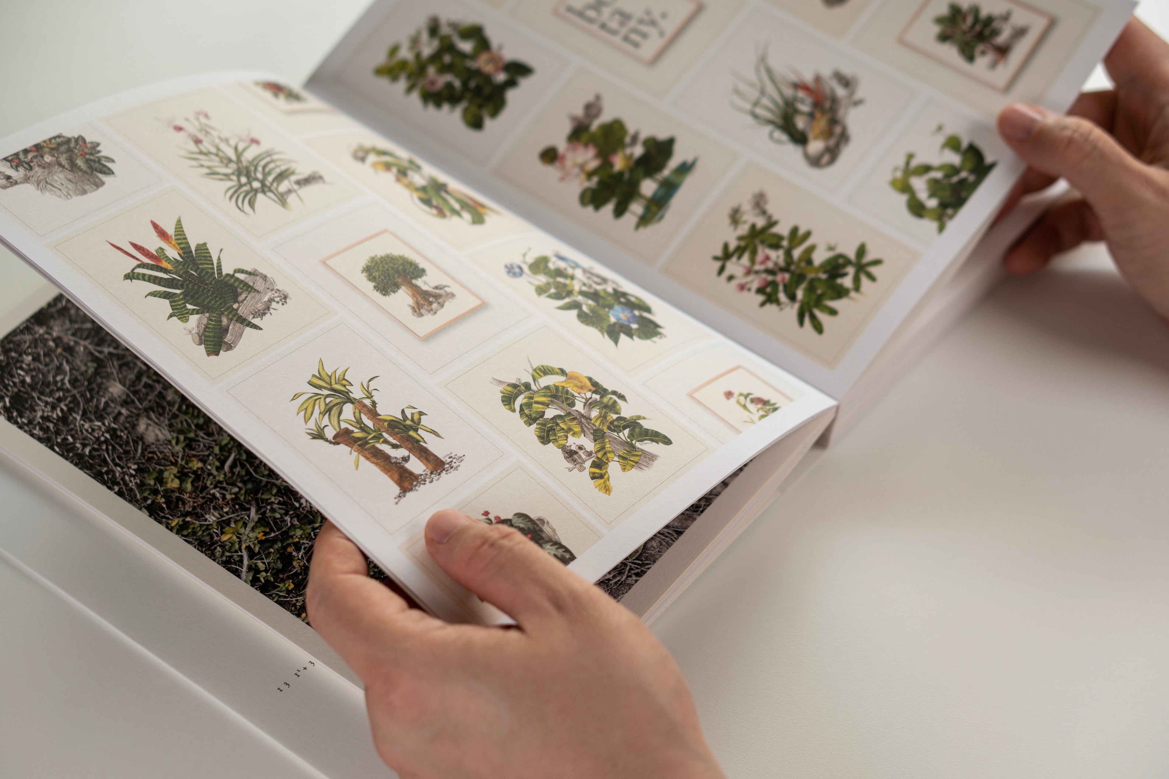 Of Happiness and Biophilia