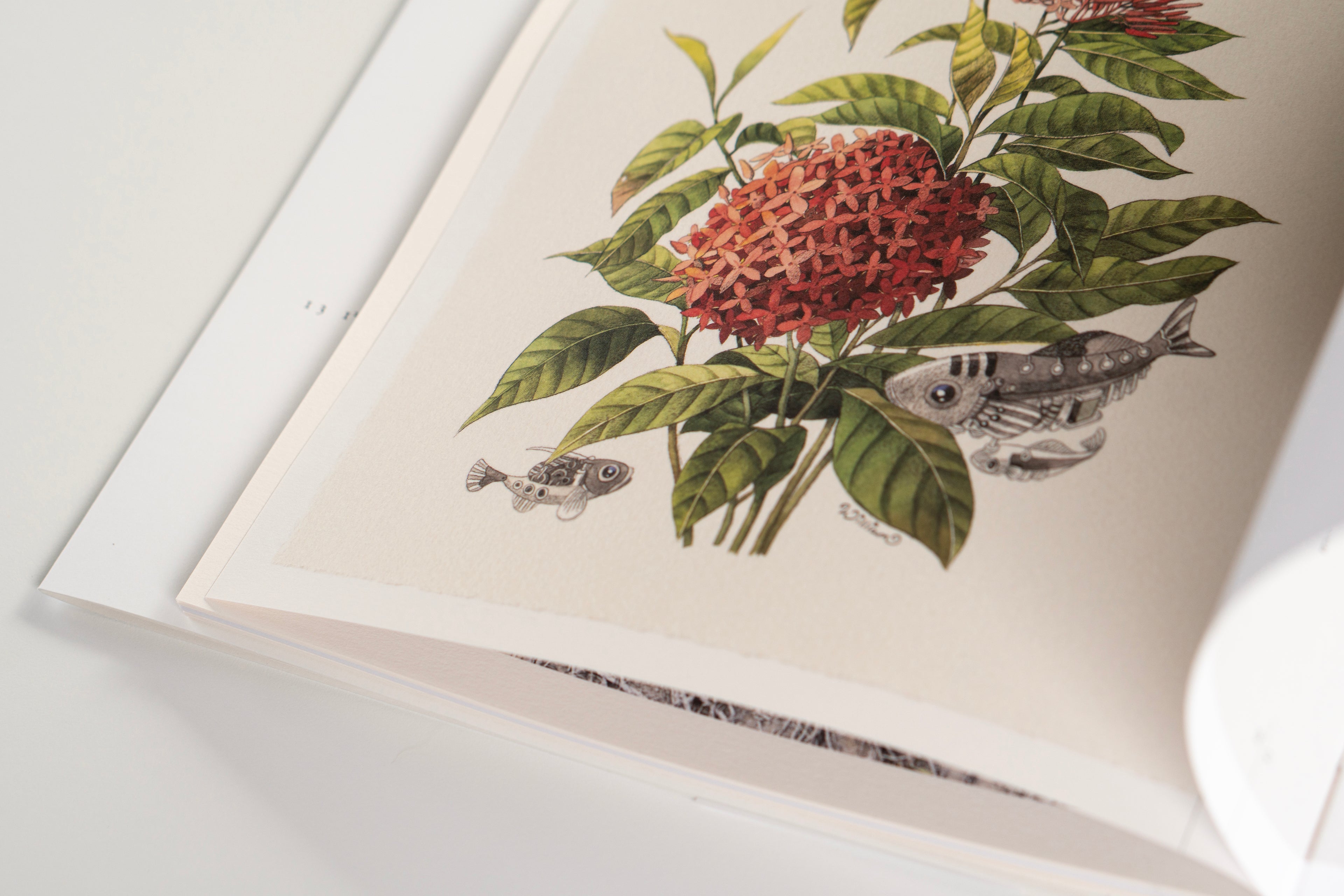 Of Happiness and Biophilia