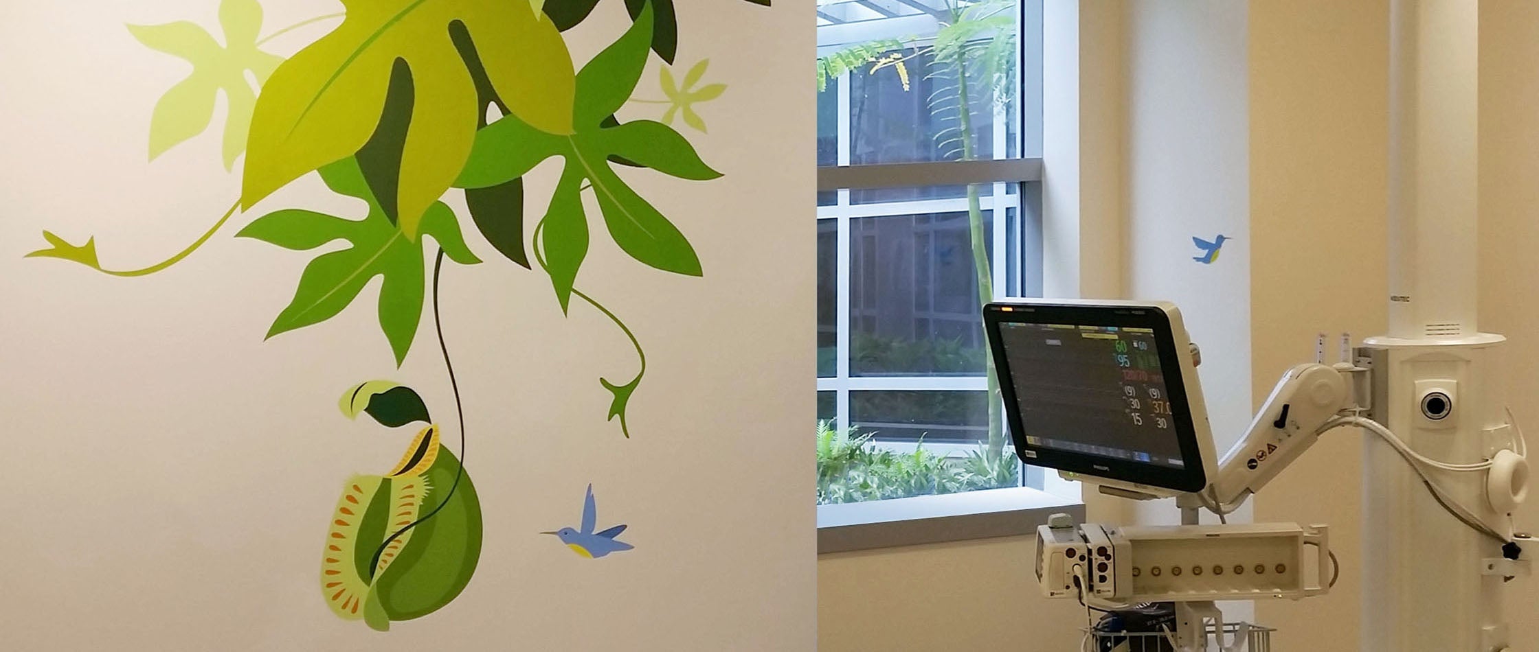 Curious Evergreens - Wall Murals