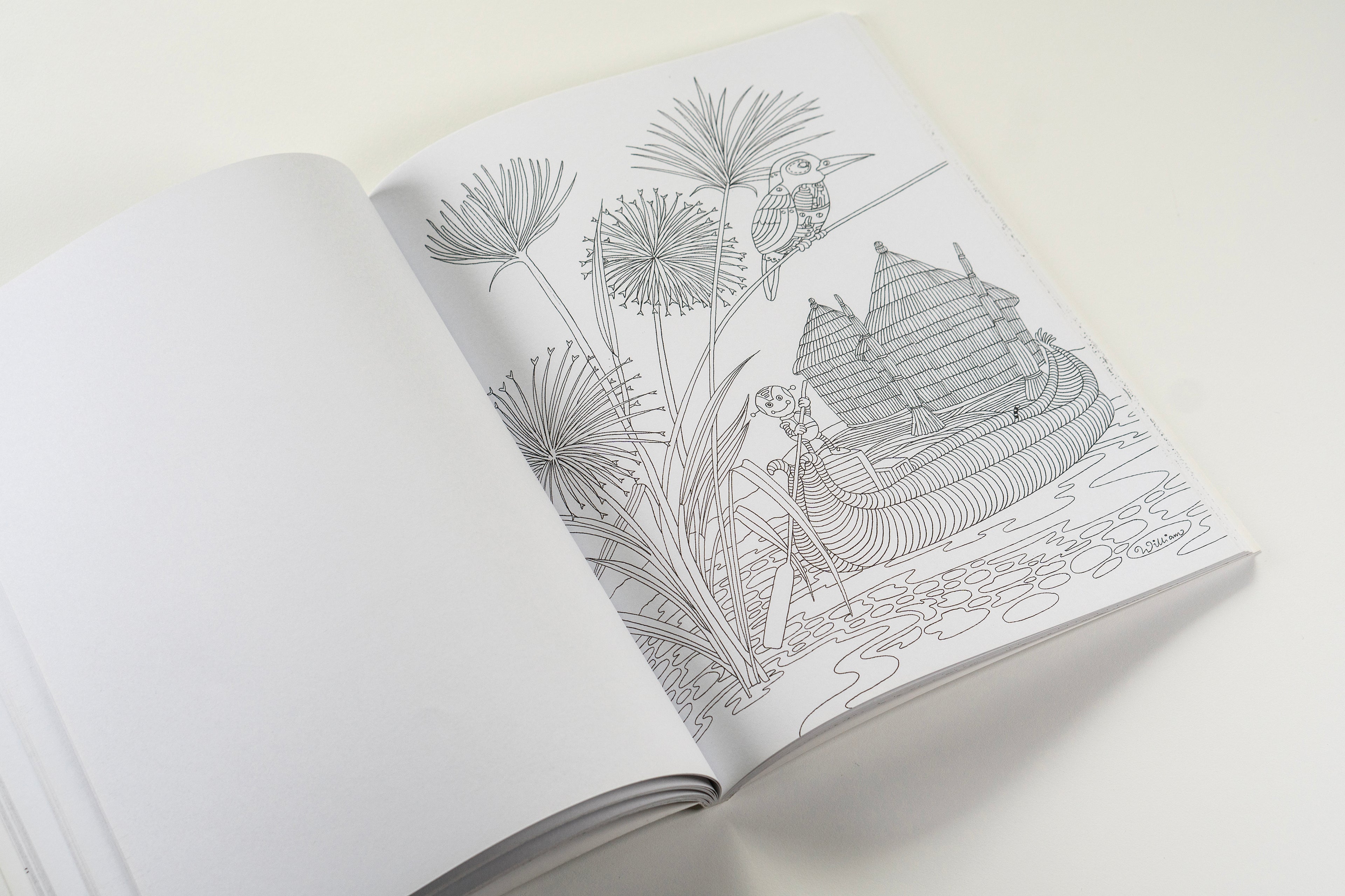 Colouring the World: A Sophisticated Activity Book for Adults